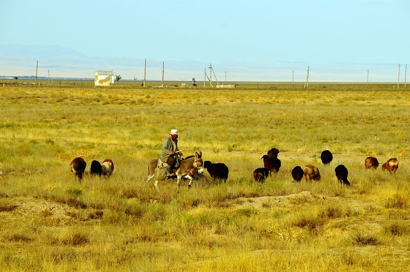 Kazakhstan - Asie Centrale
